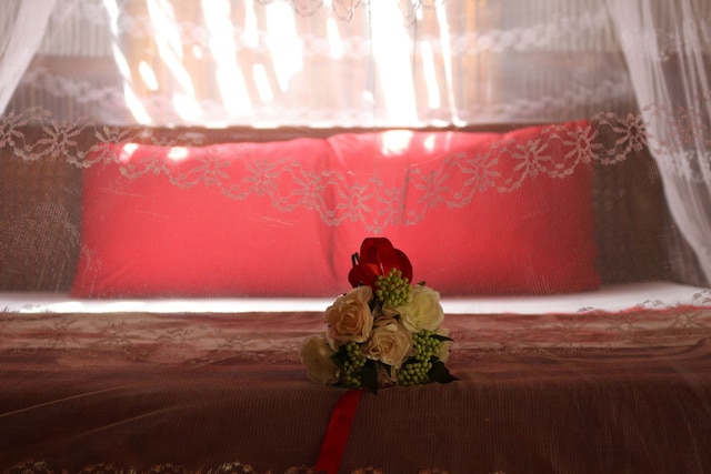 ココナッツツリーの下 - ホステル