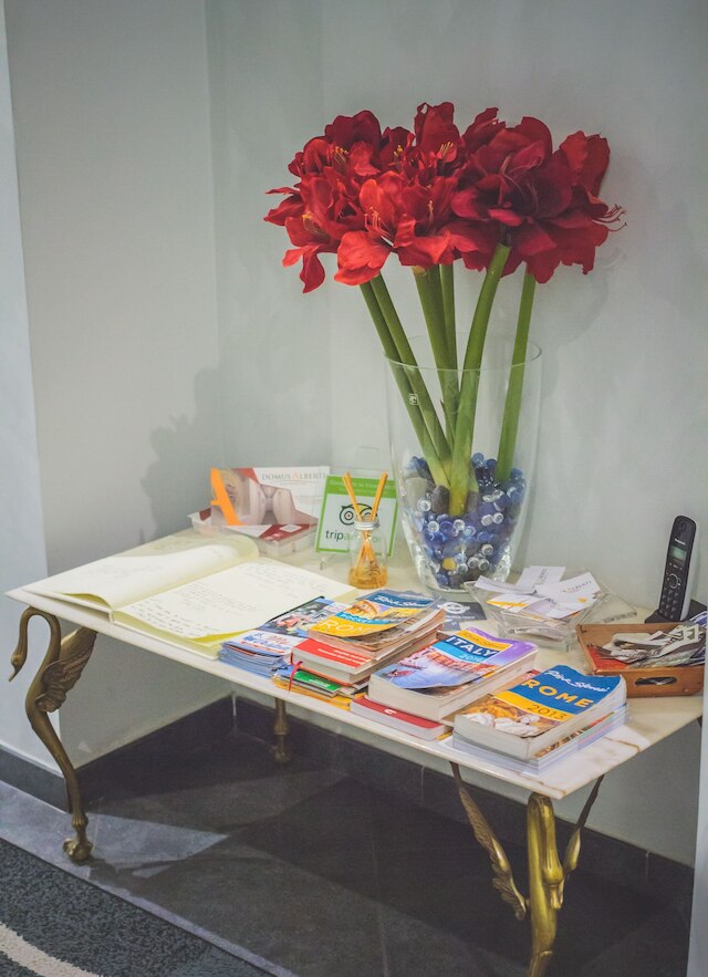 ドムス アルベルティ