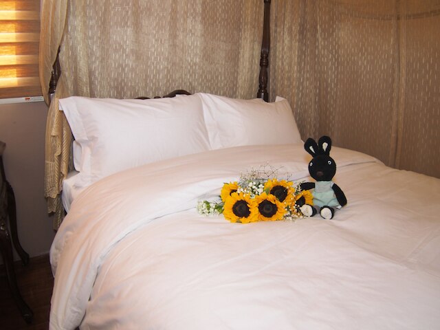 ラブ パリ (愛上巴黎民宿)