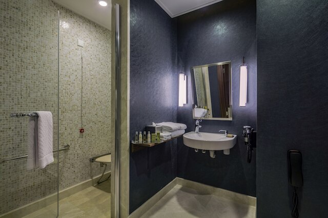 ダブルツリー バイ ヒルトン イスタンブール トプカピ