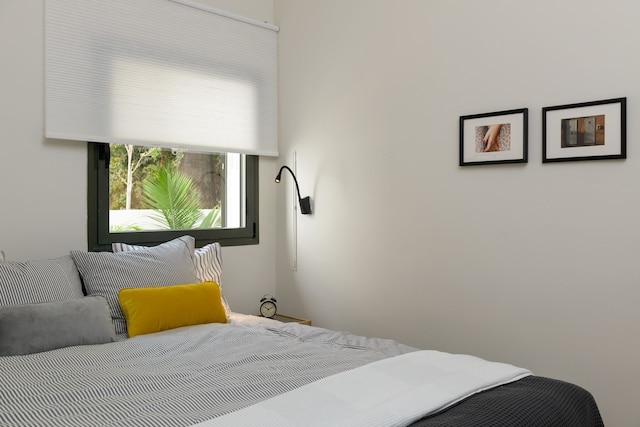 CTLV - シェインキン 30