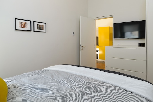 CTLV - シェインキン 30