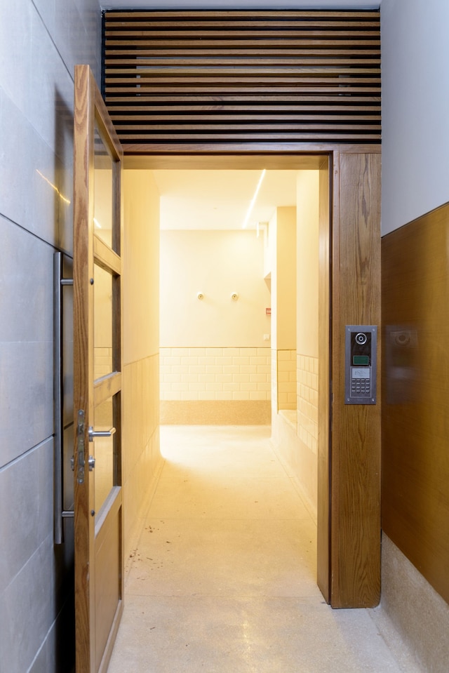 CTLV - シェインキン 30