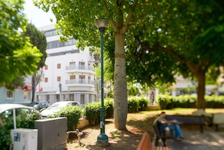 CTLV - シェインキン 30