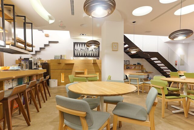 ドリス ホーム (朵麗絲的家)