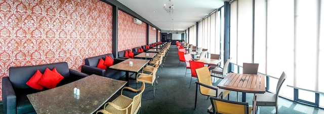 ザ 1O1 マラン OJ