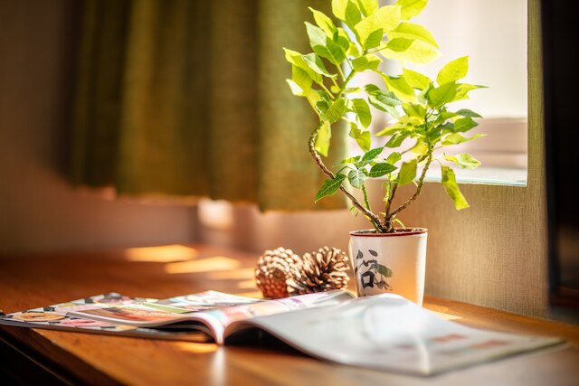 グッドモア ホテル シーダー (谷墨商旅師大館)