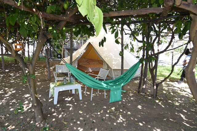 ベラ バイア グランピング