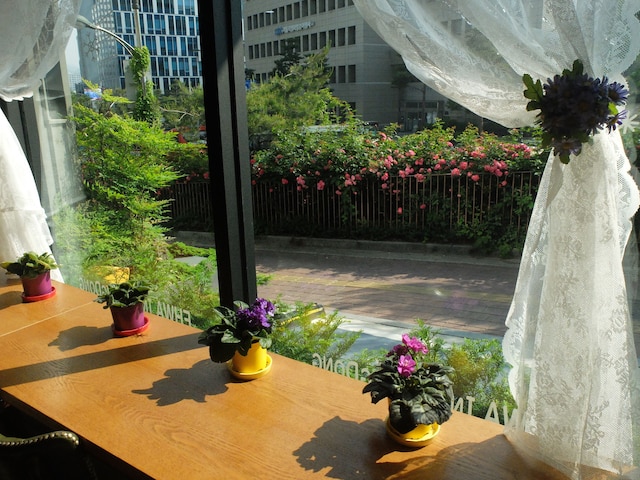 イワ イン ミョンドン