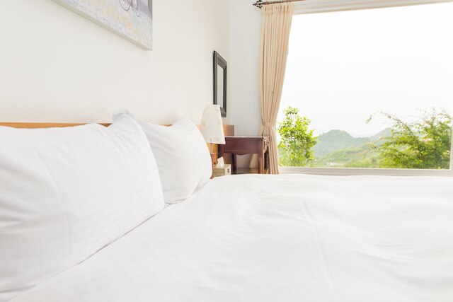 阿里山ティー ガーデン (阿里山茶香花園南歐風民宿)