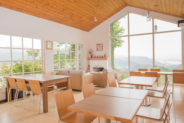 阿里山ティー ガーデン (阿里山茶香花園南歐風民宿)