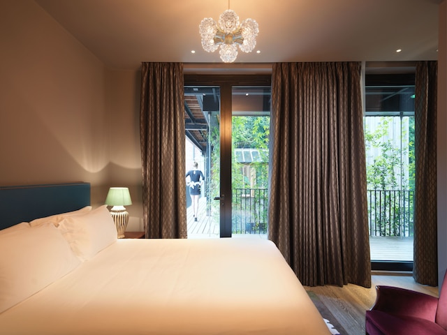 ザ マンドレイク