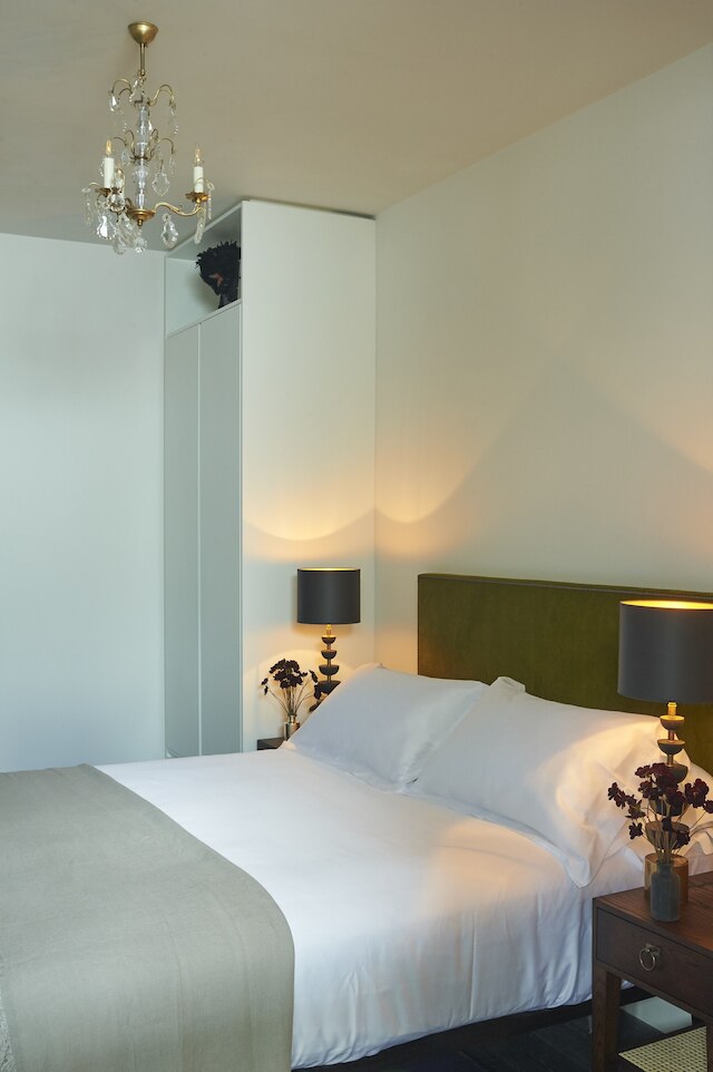 ザ マンドレイク