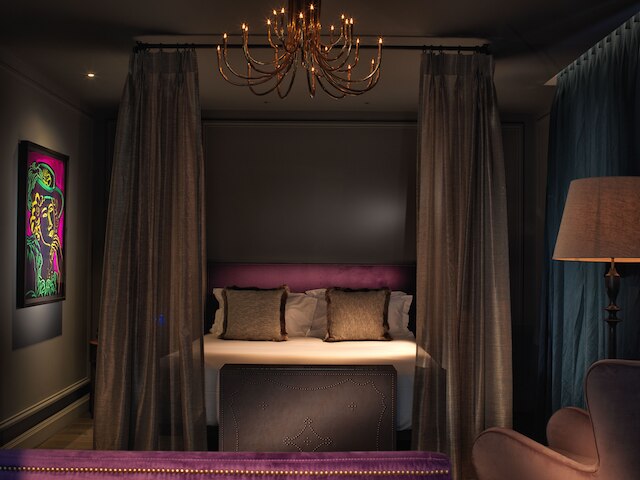 ザ マンドレイク