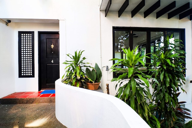 アウト オブ ザ ブルー リゾート