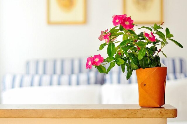 ラ カーサ デル メルカンテ ヴェネツィアーノ B&B