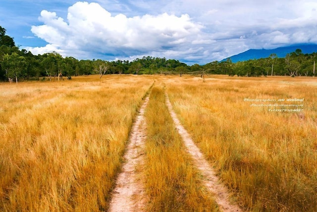 ザ キャンプ リゾート