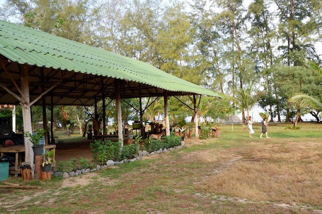 ザ キャンプ リゾート