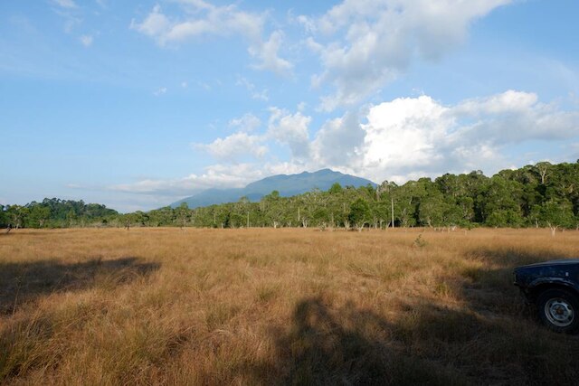 ザ キャンプ リゾート