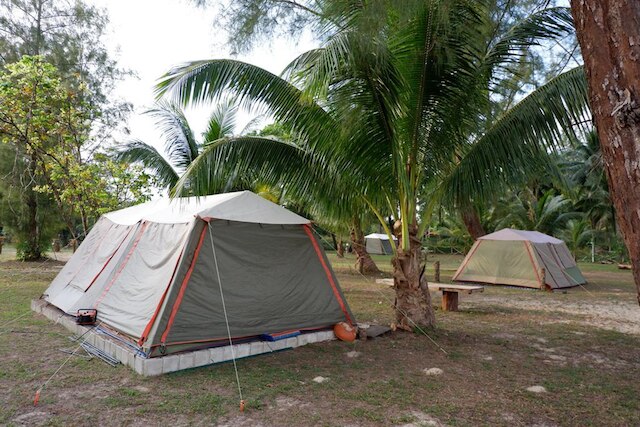 ザ キャンプ リゾート