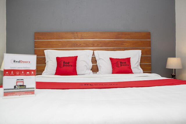 レッドドアーズ プラス ニア アジア アフリカ 3