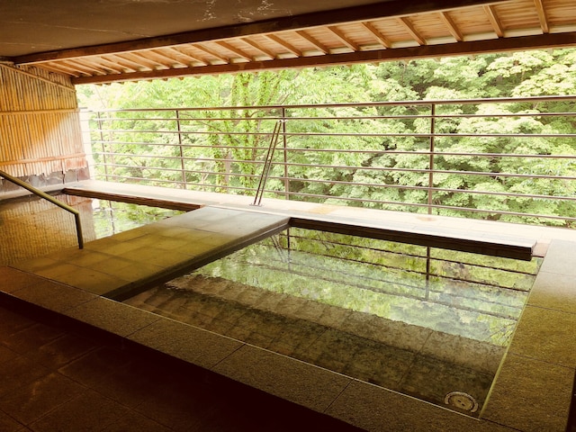 せせらぎの宿 水上温泉 ホテル一葉亭