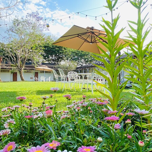 NCNU キャンパス イン (埔里暨大行旅)