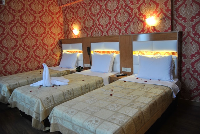 ホテル スター パーク