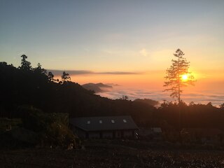 ロン ユン ファーム