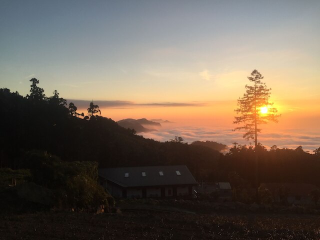 ロン ユン ファーム