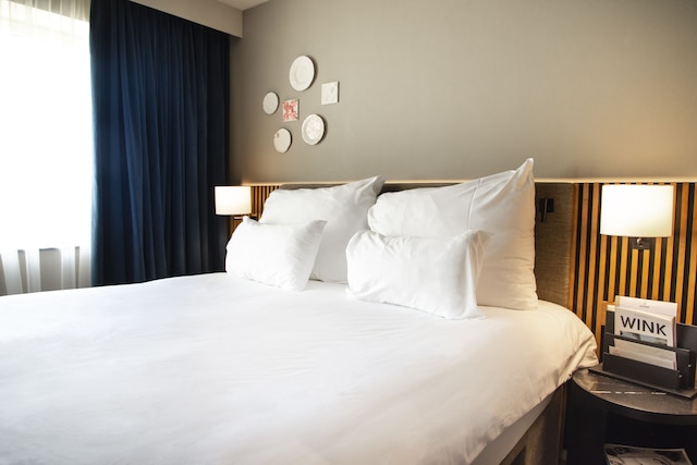 ペスターナ アムステルダム リバーサイド