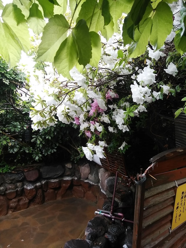 入湯貸間 陽光荘