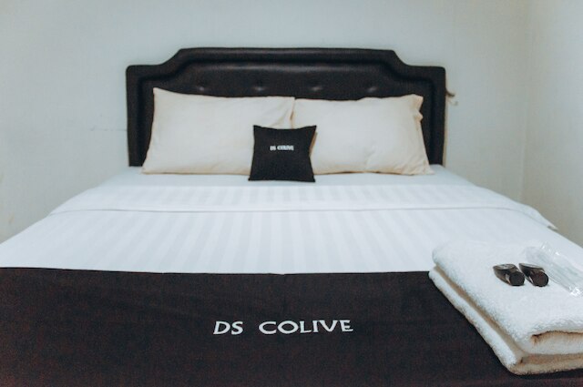 DS レジデンシーズ ライウル