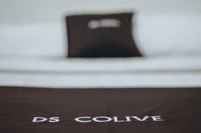 DS レジデンシーズ ライウル