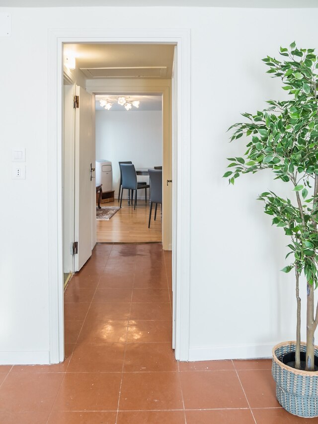 ペントハウス ドリーム アパートメンツ