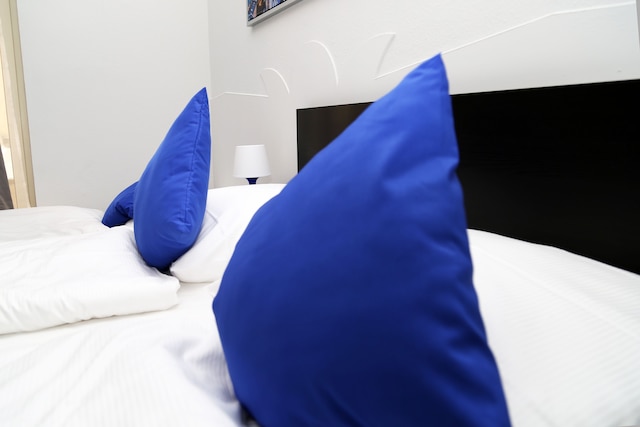 マイン ホテル フランクフルト シティ