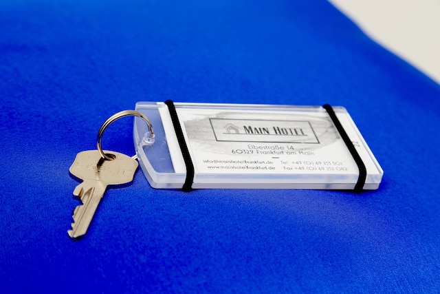 マイン ホテル フランクフルト シティ