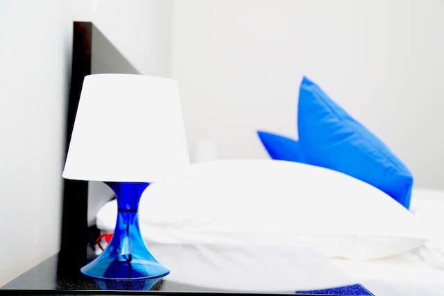 マイン ホテル フランクフルト シティ