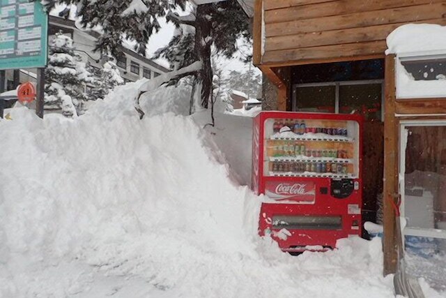 白馬 コルチナ バックパッカーズ