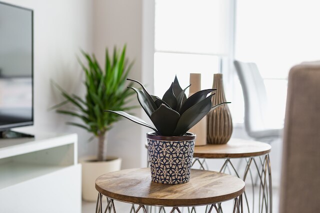 クイックステイ - クラッシー 1 ベッドルーム イン ヨークビル (ヤング & ブロアー)