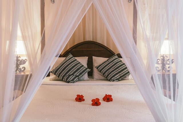 ハネムーン ゲストハウス