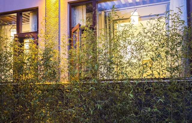 アロマ ティー ハウス