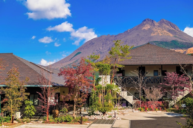 ゆふいんバース 里山茶風