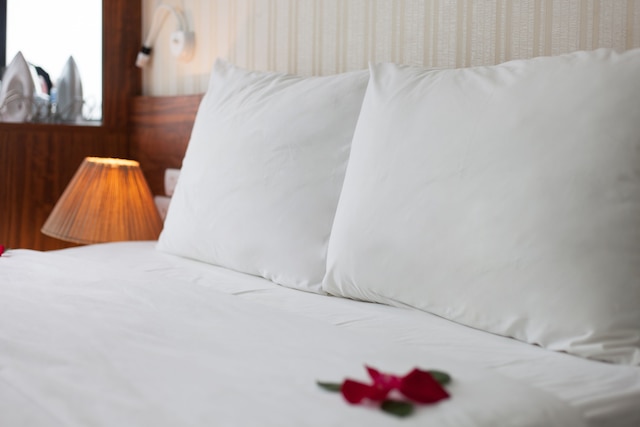 ホテル ベル アミ ハノイ