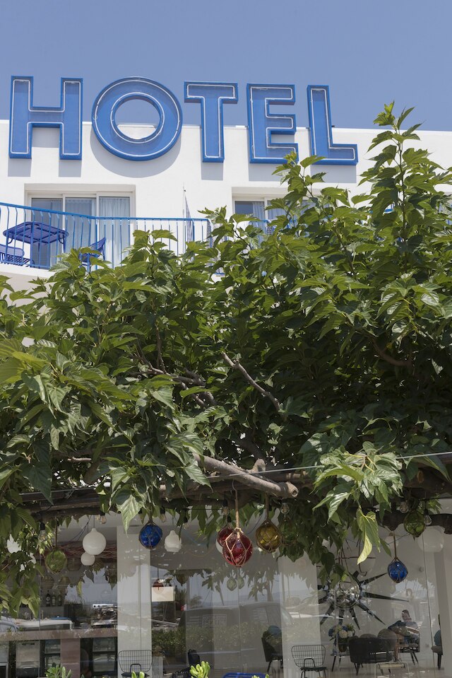 ラ レーヌ ジェーン