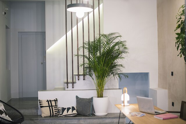 ウェルダン カテドラル