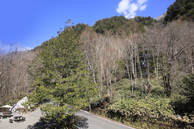 上高地 大正池ホテル