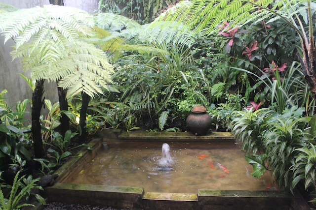 ブトン バックパッカー ロッジ - ホステル