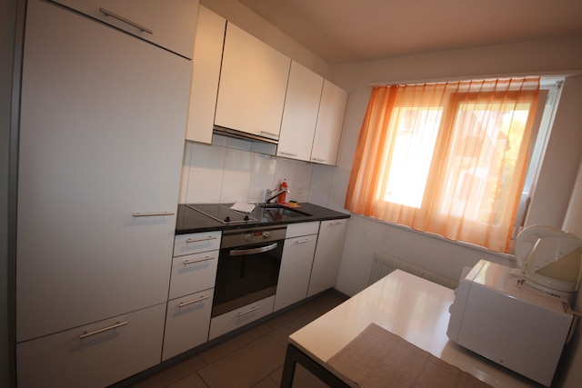 スイス スター レジデンシーズ