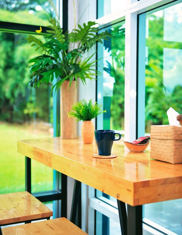 ステイクション